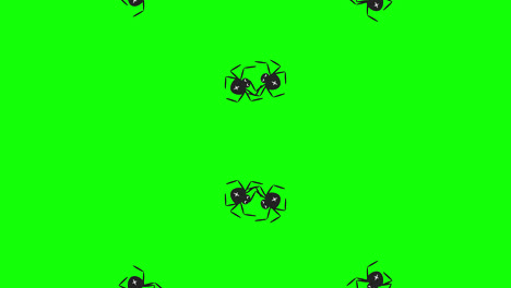 Halloween-Spider-loop-animation-Halloween-concept-element-with-alpha-channel